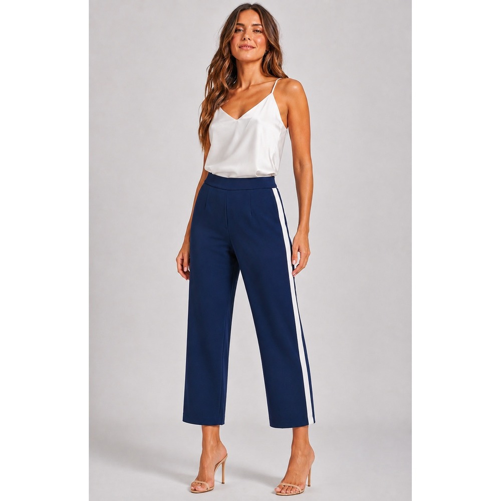 Babaton Aritzia Navy Blue White Stripe Tuxedo Dress Pants Trousers 8